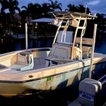 Yamaha 210 FSH Sport