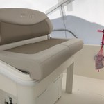 Boston Whaler 270 Dauntless