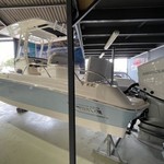 Boston Whaler 270 Dauntless