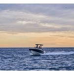 Quicksilver Activ 805 Open