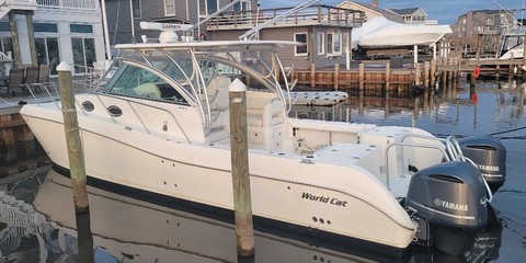 World cat 320 ec