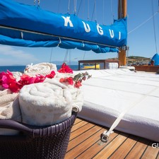 Kuğu 1
