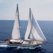 Tigerlily of Cornwall