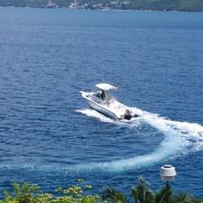 Century 2300 Walk-Around