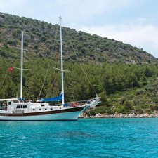 Oguz 5