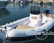 Predator 650 TS