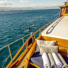 Simpson 12 meter junk rigged