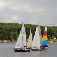 Dolfin (Афалина)