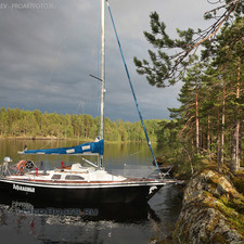 Dolfin (Афалина)