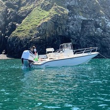 Boston Whaler 22 Dauntless