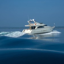Dominator 65