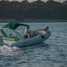 Shark 23