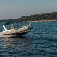 Shark 23