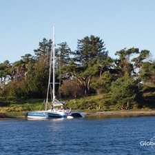 Dragonfly 35