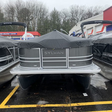 Sylvan 8520 Party Fish