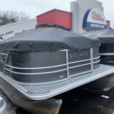 Sylvan 8520 Party Fish