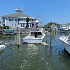 Bertram Flybridge Cruiser