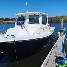 Steiger Craft 255DV Chesapeake
