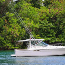 Bertram 31