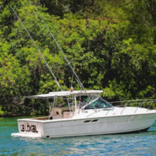 Bertram 31