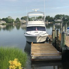 Bertram 35
