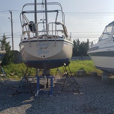 Catalina C30