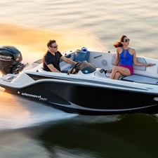 Bayliner M15