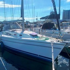 Catalina 375