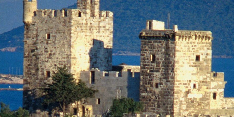 Kuğu 1