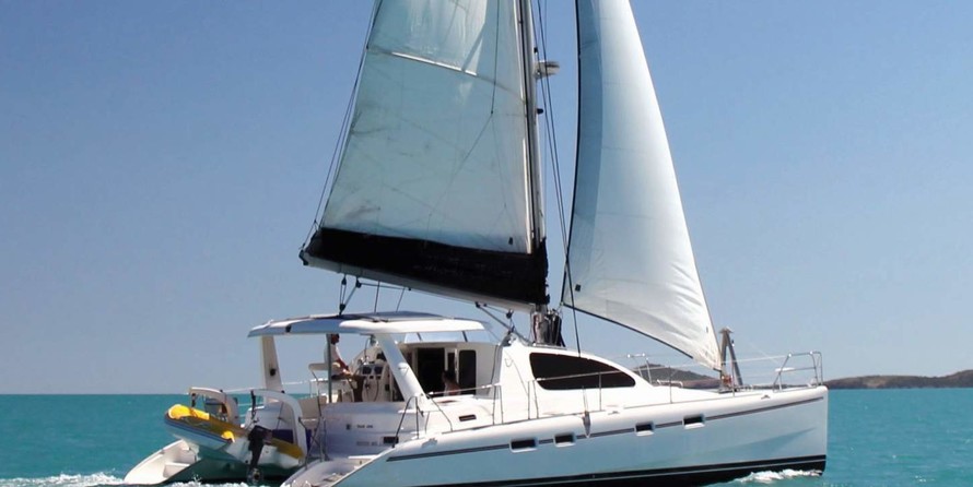 Leopard 43
