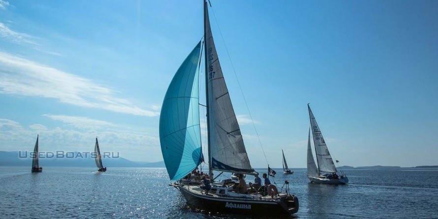 Dolfin (Афалина)