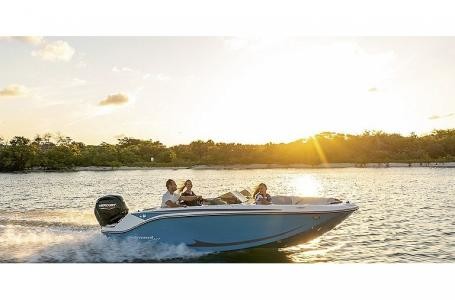 Bayliner Element M17