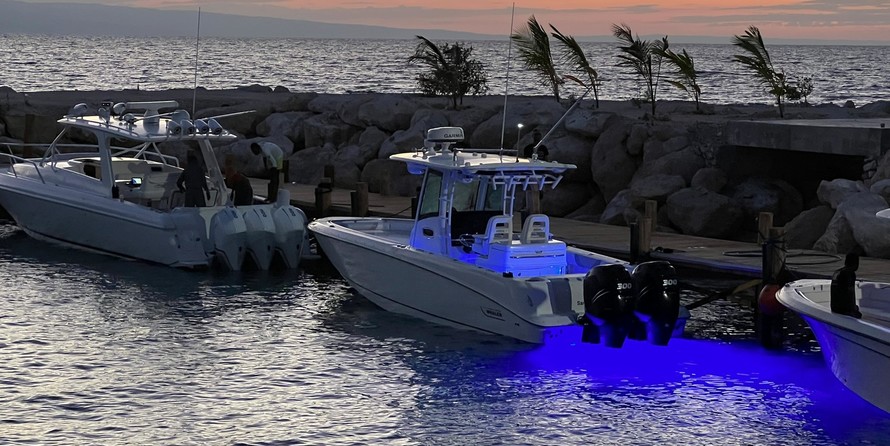 Boston Whaler 320 Outrage