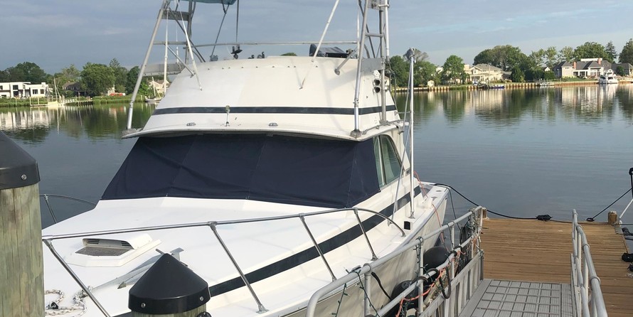 Bertram 35